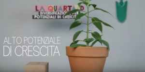 quarta-d